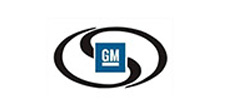 GM 頂膠